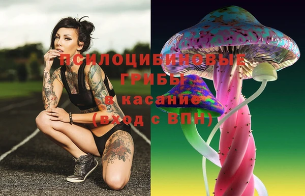 стафф Магас