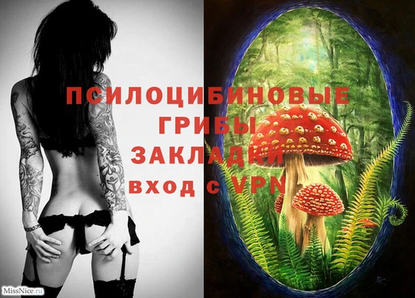 стафф Магас
