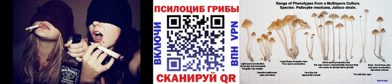 купить  сайты  Чаплыгин  даркнет как зайти  Галлюциногенные грибы ЛСД 