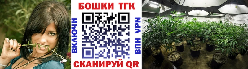 Бошки марихуана семена  Чаплыгин 